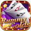 rummy goods icon