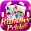 rummy 191