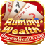 rummy noob icon